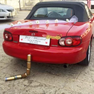 הדפסה על לוחית רישוי קאפא לאירוסין וחתונה